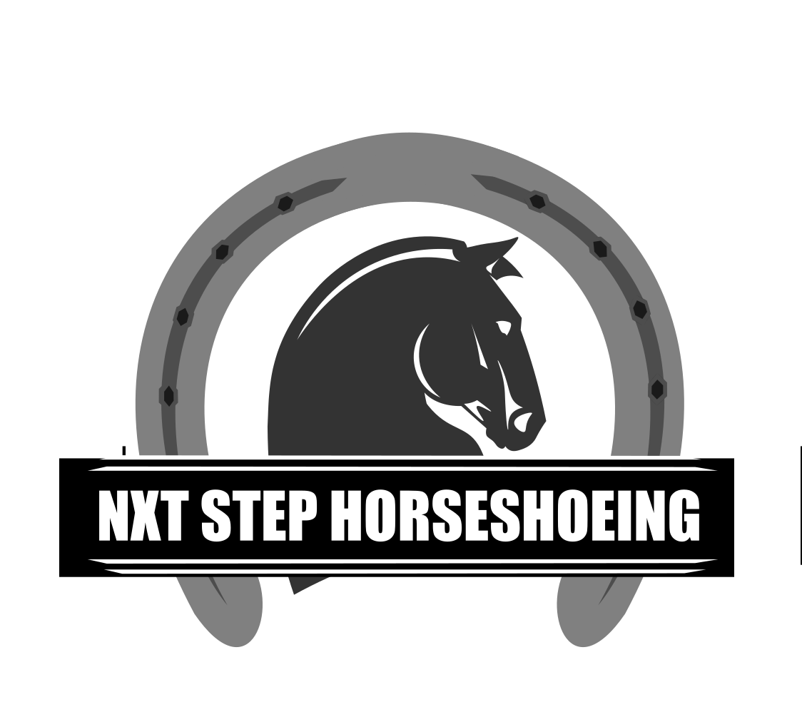 NXT STEP Performance Horses