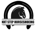 nxt step Horse Performance